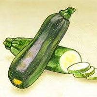 ws-article-zucchini